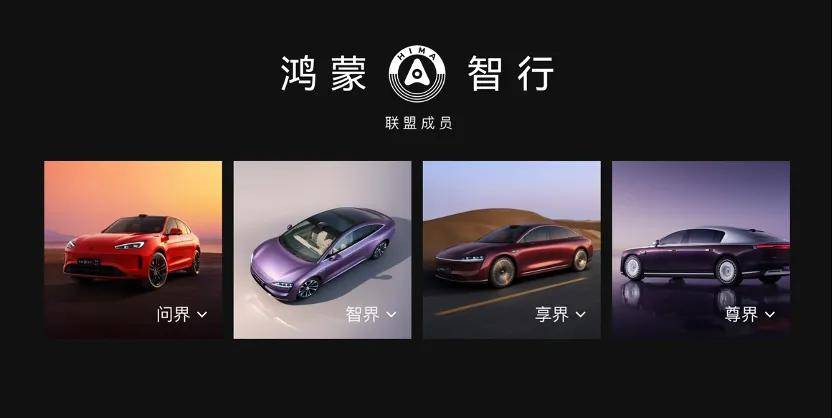 管安心行剩下的都放心交给鸿蒙智行不朽情缘平台鸿蒙智行用户春节尽(图4)